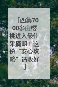 西集7000多亩樱桃进入最佳采摘期！这份“安心攻略”请收好