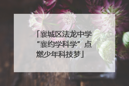 襄城区法龙中学“襄约学科学”点燃少年科技梦
