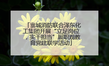 襄城消防联合泽东化工集团开展“立足岗位，实干担当”履职观教育党建联学活动
