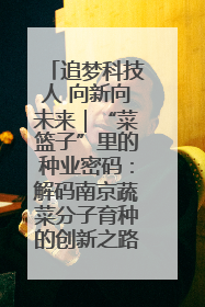 追梦科技人 向新向未来｜“菜篮子”里的种业密码：解码南京蔬菜分子育种的创新之路