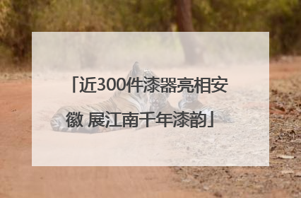 近300件漆器亮相安徽 展江南千年漆韵