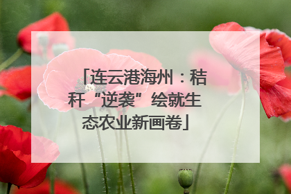 连云港海州：秸秆“逆袭”绘就生态农业新画卷