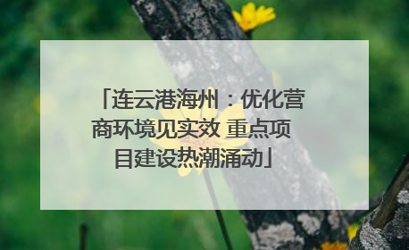 连云港海州：优化营商环境见实效 重点项目建设热潮涌动