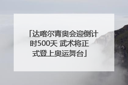 达喀尔青奥会迎倒计时500天 武术将正式登上奥运舞台