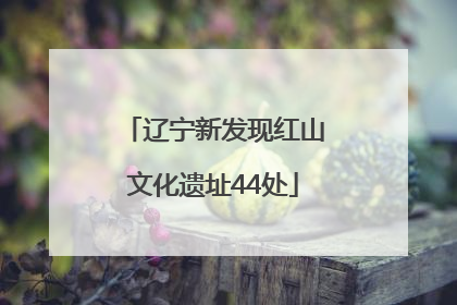 辽宁新发现红山文化遗址44处