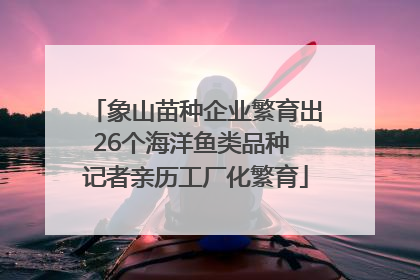 象山苗种企业繁育出26个海洋鱼类品种 记者亲历工厂化繁育