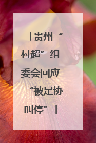 贵州“村超”组委会回应“被足协叫停”