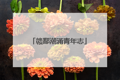 赣鄱潮涌青年志