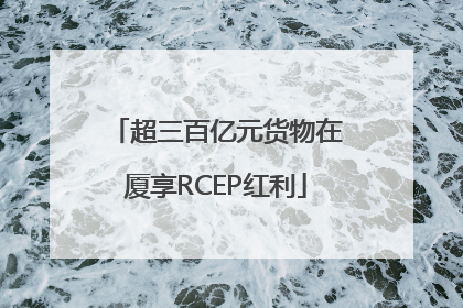 超三百亿元货物在厦享RCEP红利