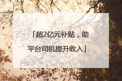 超2亿元补贴，助平台司机提升收入