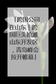 跨国公司在山东｜跨国巨头抢滩山东开发区，青岛峰会拉开帷幕