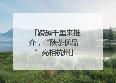 跨越千里来推介，“陕茶优品”亮相杭州