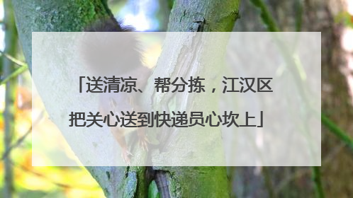 送清凉、帮分拣，江汉区把关心送到快递员心坎上