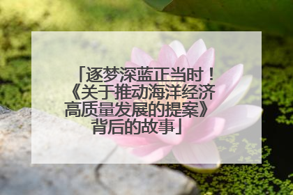 逐梦深蓝正当时！《关于推动海洋经济高质量发展的提案》背后的故事