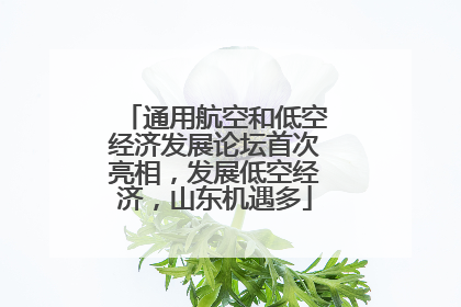 通用航空和低空经济发展论坛首次亮相，发展低空经济，山东机遇多