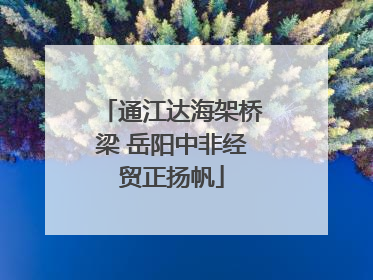 通江达海架桥梁 岳阳中非经贸正扬帆