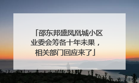 邵东邦盛凤凰城小区业委会筹备十年未果，相关部门回应来了