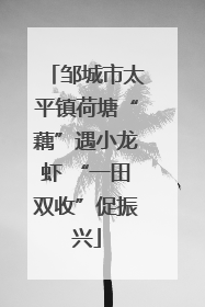 邹城市太平镇荷塘“藕”遇小龙虾 “一田双收”促振兴