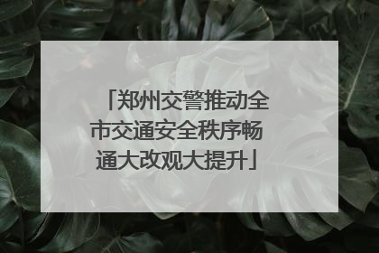 郑州交警推动全市交通安全秩序畅通大改观大提升