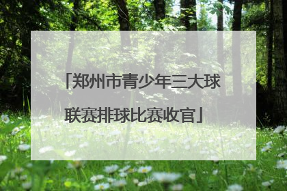 郑州市青少年三大球联赛排球比赛收官
