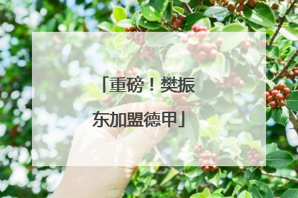 重磅！樊振东加盟德甲