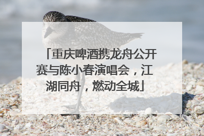 重庆啤酒携龙舟公开赛与陈小春演唱会，江湖同舟，燃动全城