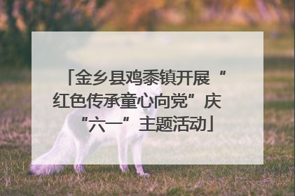 金乡县鸡黍镇开展“红色传承童心向党”庆“六一”主题活动