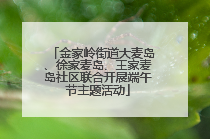 金家岭街道大麦岛、徐家麦岛、王家麦岛社区联合开展端午节主题活动