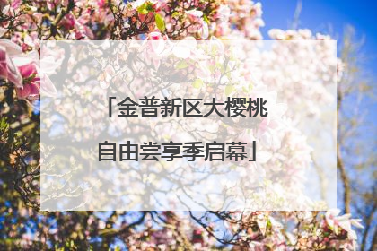 金普新区大樱桃自由尝享季启幕