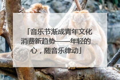 音乐节渐成青年文化消费新趋势——年轻的心，随音乐律动