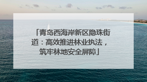青岛西海岸新区隐珠街道：高效推进林业执法，筑牢林地安全屏障
