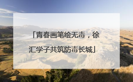 青春画笔绘无毒，徐汇学子共筑防毒长城