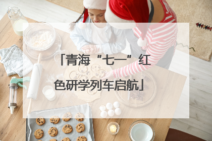 青海“七一”红色研学列车启航