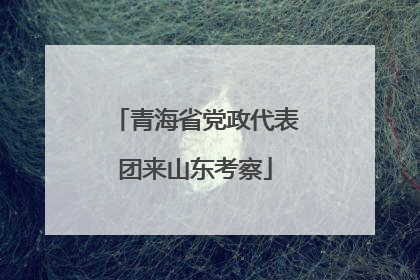 青海省党政代表团来山东考察