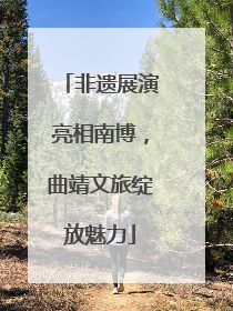 非遗展演亮相南博，曲靖文旅绽放魅力