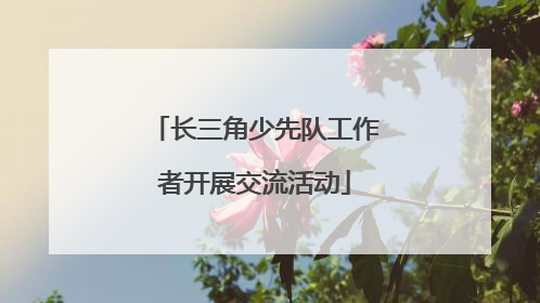 长三角少先队工作者开展交流活动
