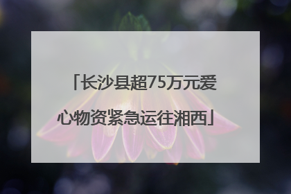 长沙县超75万元爱心物资紧急运往湘西