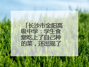 长沙市金阳高级中学：学生食堂吃上了自己种的菜，还出现了一批劳动能手