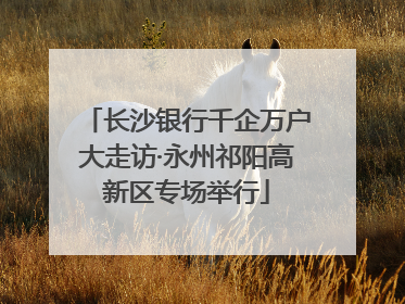 长沙银行千企万户大走访·永州祁阳高新区专场举行