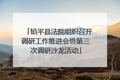 镇平县法院组织召开调研工作推进会暨第三次调研沙龙活动