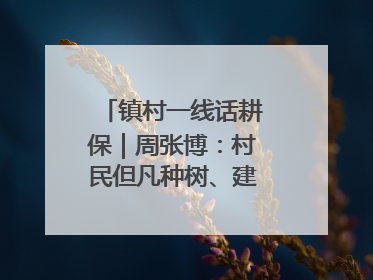 镇村一线话耕保｜周张博：村民但凡种树、建棚、盖房，都要向街道报批