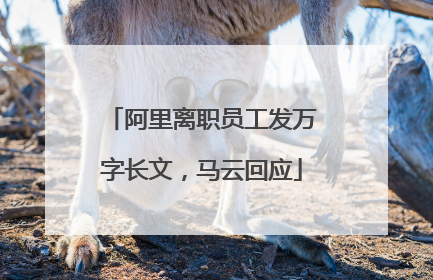 阿里离职员工发万字长文，马云回应