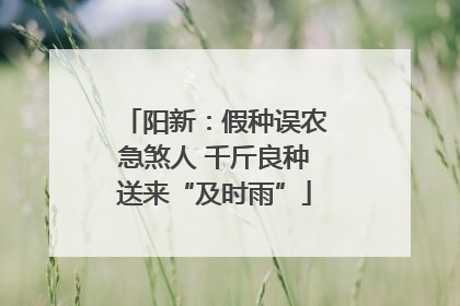 阳新：假种误农急煞人 千斤良种送来“及时雨”