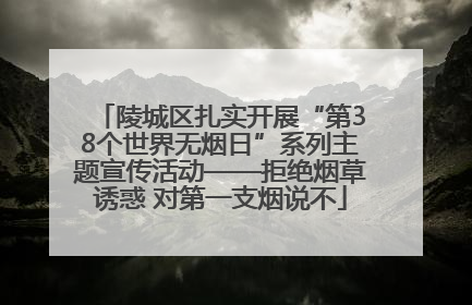陵城区扎实开展“第38个世界无烟日”系列主题宣传活动——拒绝烟草诱惑 对第一支烟说不