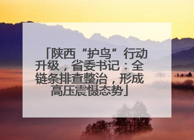陕西“护鸟”行动升级，省委书记：全链条排查整治，形成高压震慑态势