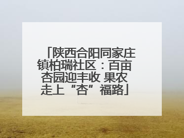 陕西合阳同家庄镇柏瑞社区：百亩杏园迎丰收 果农走上“杏”福路