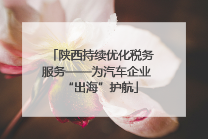陕西持续优化税务服务——为汽车企业“出海”护航