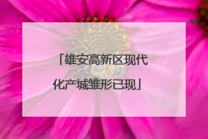 雄安高新区现代化产城雏形已现