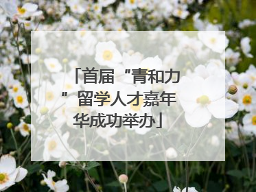 首届“青和力”留学人才嘉年华成功举办