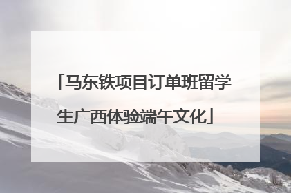马东铁项目订单班留学生广西体验端午文化